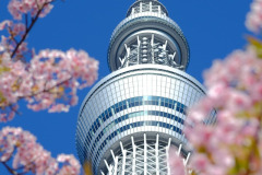 tokyo_Image-by-phuong-vu_from_Pixabay