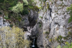 oznor