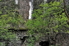 rhdr