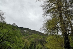 rhdr