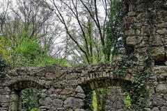 rhdr
