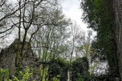 rhdr