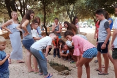 kamp-strasko-Image01-res